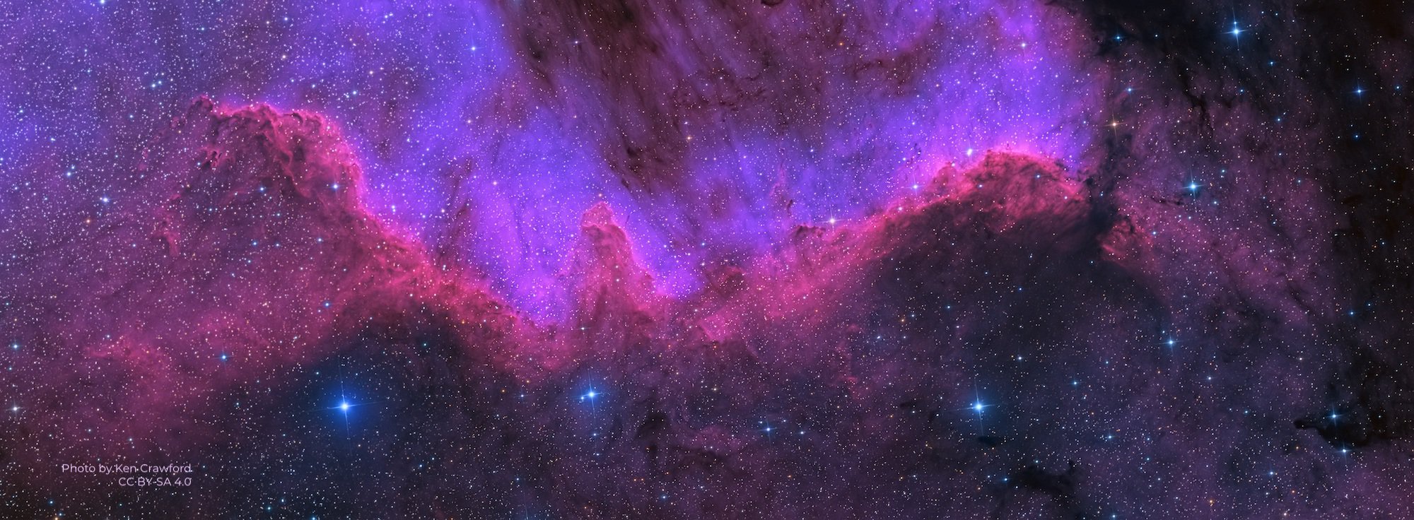 Cygnus Constellation