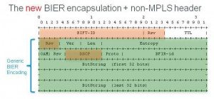 Non MPLS Header