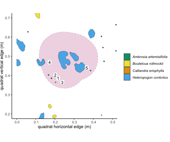 Figure 3.2: The 10cm buffer around the focal individual overlaps with 5 other unique individuals of two species. These overlapping individuals are outlined in dark grey. Using the 'count' method in `getNeighbors()`, we would get an intraspecific competition value of 3, and an interspecific competition value of 5.